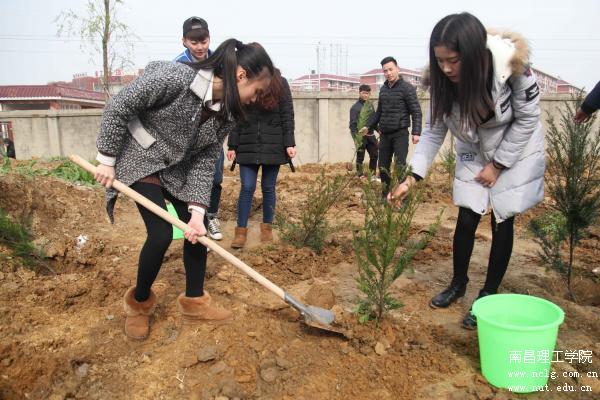 学生正在认真植树.jpg